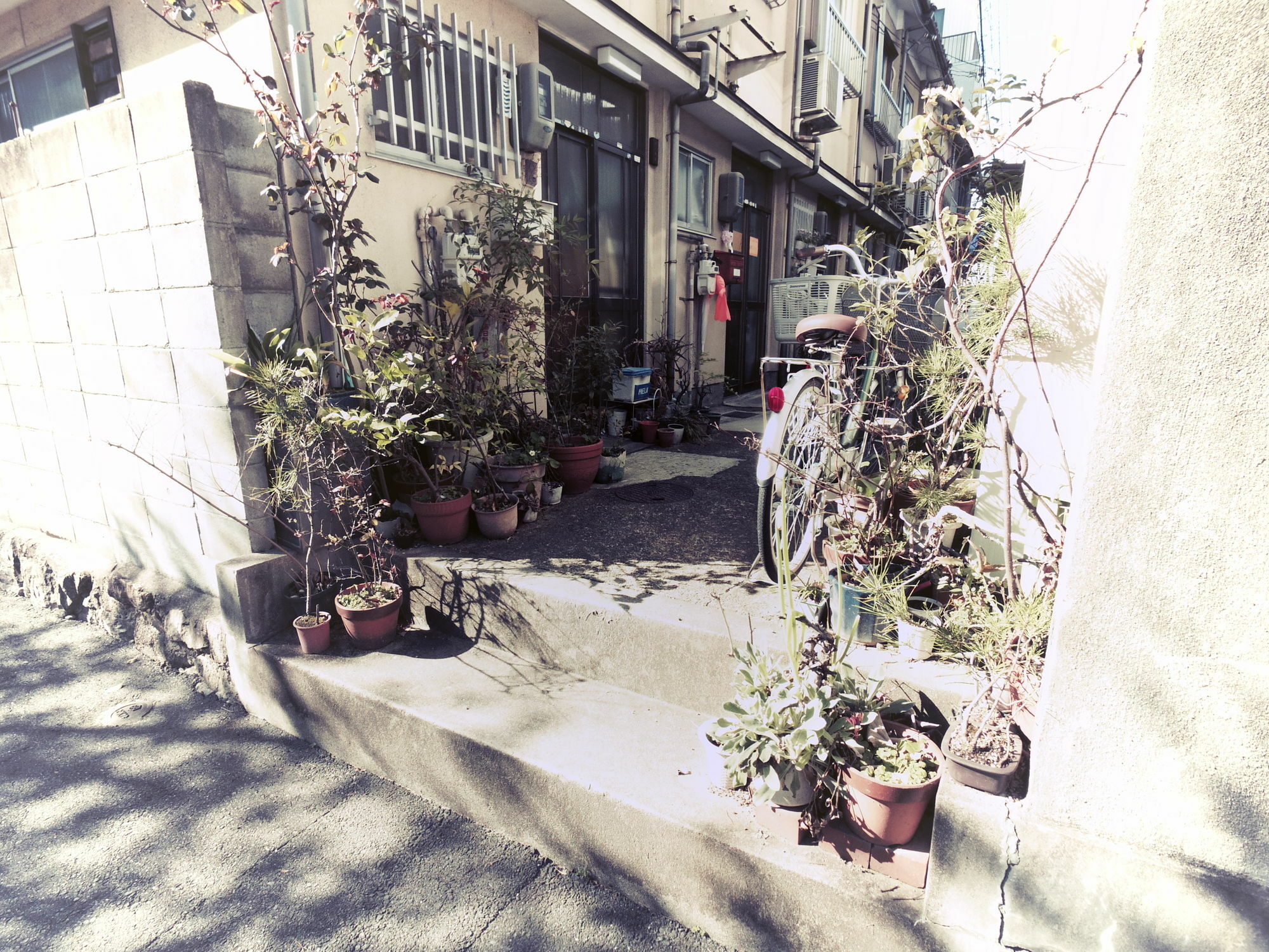 Oyado Station 2